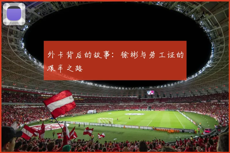 外卡背后的故事：徐彬与劳工证的艰辛之路